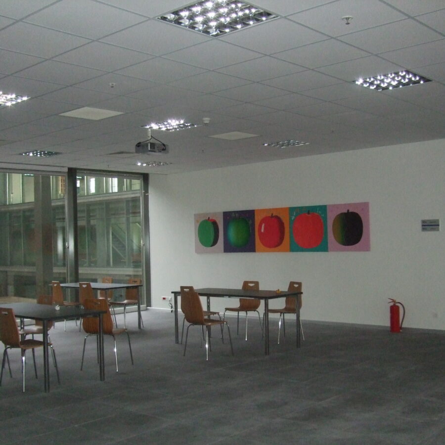 Stella Uçuş Okulu – Dalaman